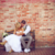 emily and meeko wedding 2