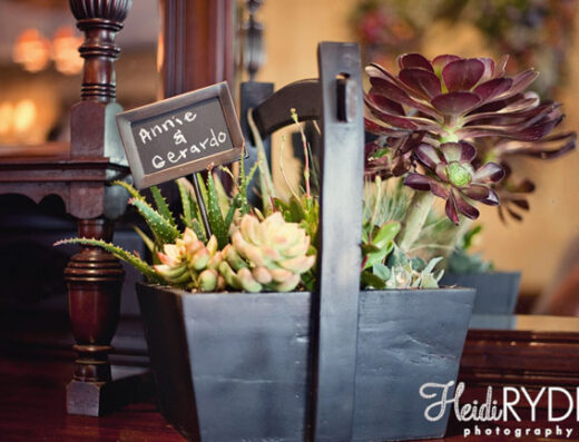 Succulent Themed Wedding in Santa Monica
