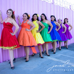 Rainbow Bridesmaids Dresses Knee Length or Floor Length