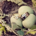 wedding rings on robins eggs