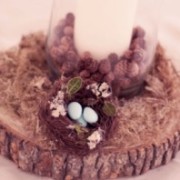 Rustic Love Birds Wedding