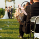 Wells_Wiseman_Ariel_Vifews_Photo_WisemanWedding98_low-650×432