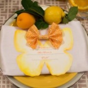 Butterflies and bow ties styled shoot