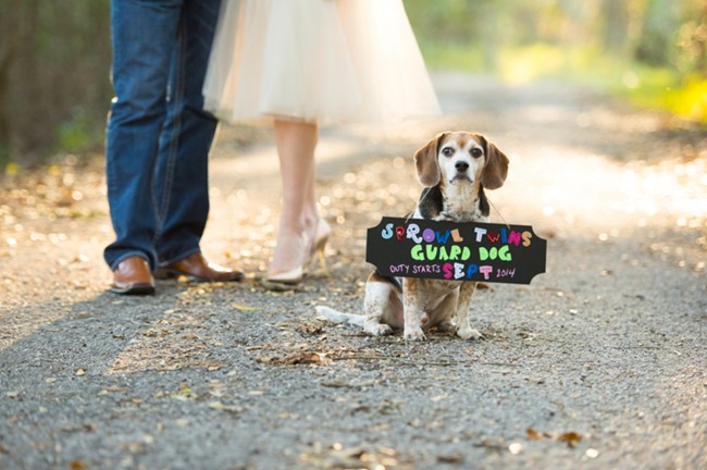 Announcing A Pregnancy Photo Shoot with Cute Dog