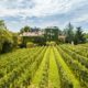 L’Albereta Relais & Chateau Review – Romantic Vineyard Resort