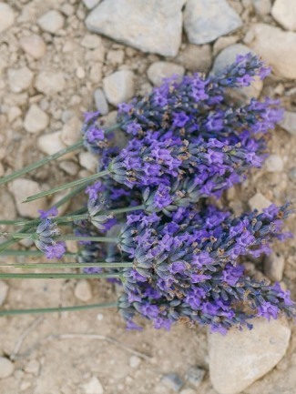 Heres How To Preserve Fresh Herbs From Your Garden