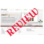MINTED wedding website review
