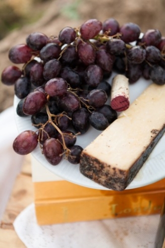 cheese-and-grapes-for-picnic-at-Lorimar