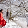 red dress engagement in winter at Van Dusen