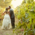 newlyweds stroll among vines