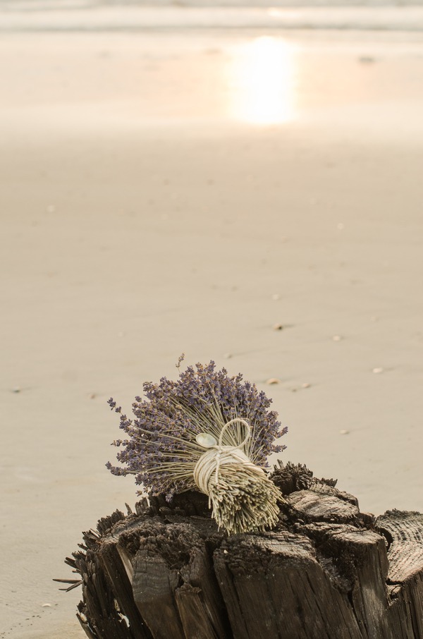 Dried lavender bouquet tied with twine resting on weathered driftwood with beach sunset in background