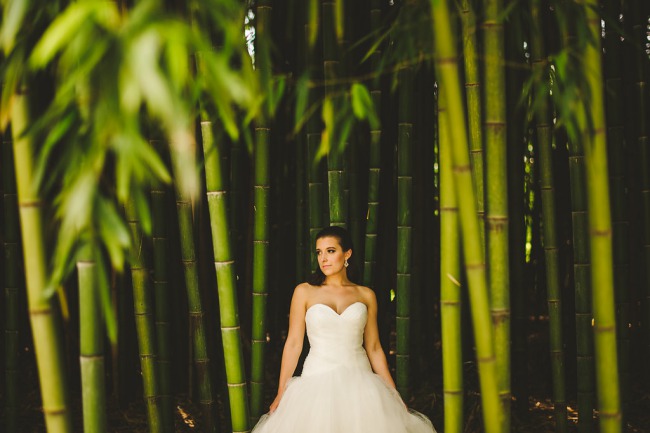 Bride in strapless sweetheart tulle ball gown standing in bamboo forest at Biltmore Estate