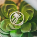 diamond ring pic on succulent