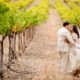 newlyweds-among-vines