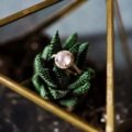 pink-gemstone-ring