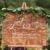 Botanic Gardens Wedding in Denver Feature