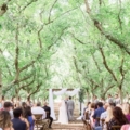 Almond Orchard Wedding in California feature
