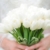 Backyard Farm Wedding in Wisconsin feature