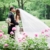 Southern Wedding with Lavender Vibe feature
