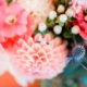 Cozy Colorado Mountain Wedding feature