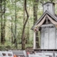 Sunflower Filled Intimate Wedding at Chapel in the Hollow feature