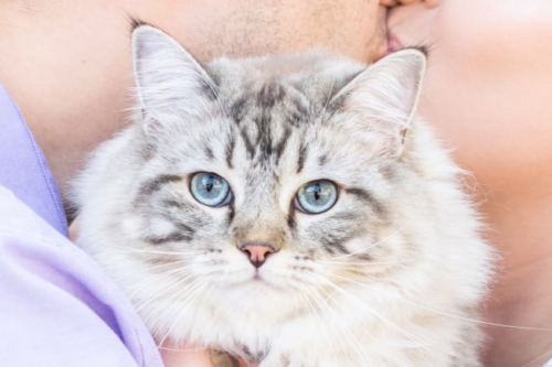 Gorgeous Rustic Wedding in Pittsburgh