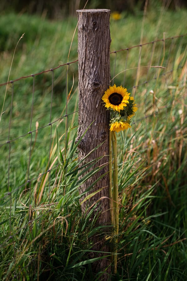 wedding-venue-decor-detail-sunflowers-tied-post