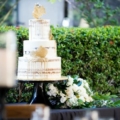 A Bee-utiful Themed Wedding in Tampa feature