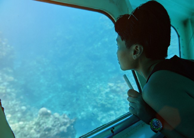 woman on a glass-bottom boat tour