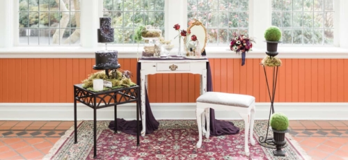 Halloween Styled shoot black cat