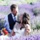 Lavender Farm Styled Shoot in Colorado feature