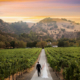 Stunning Fall Wedding Outdoors Feature