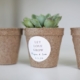 biodegradableSucculentpots1