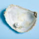 natural vs cultured pearls