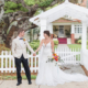 Deanna Grace Photography