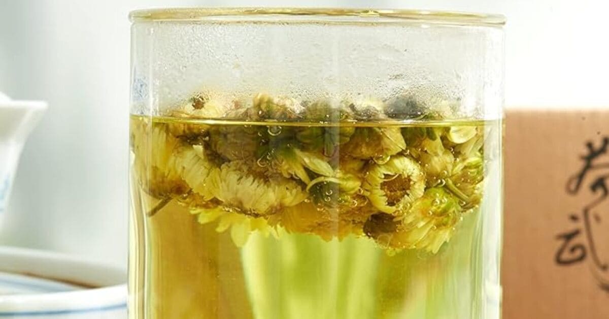 Chrysanthemum Chinese Herbal Tea
