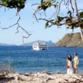 Cruise Weddings All You Need To Know