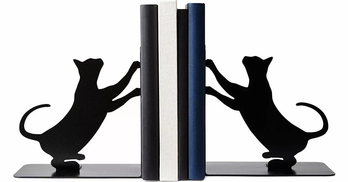 Cat Scratch Bookends