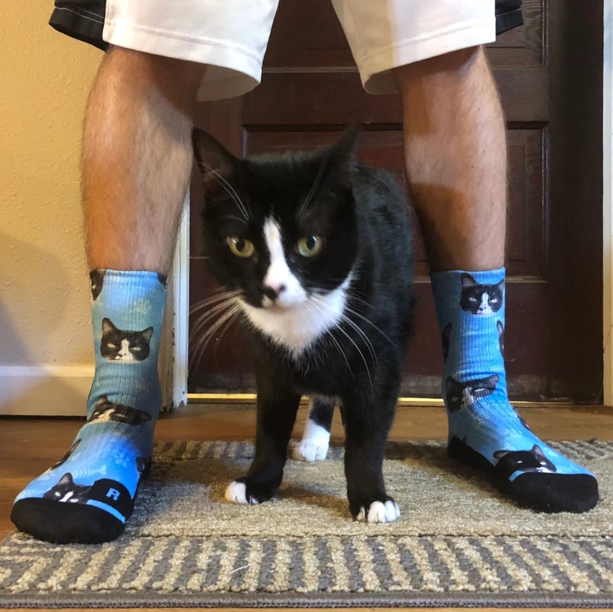 Customized Cat Socks