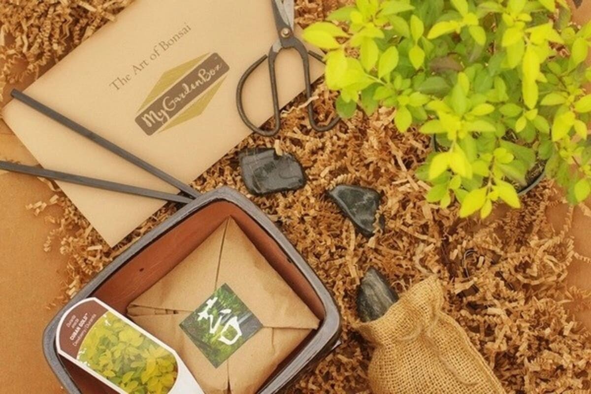 Garden Subscription Box