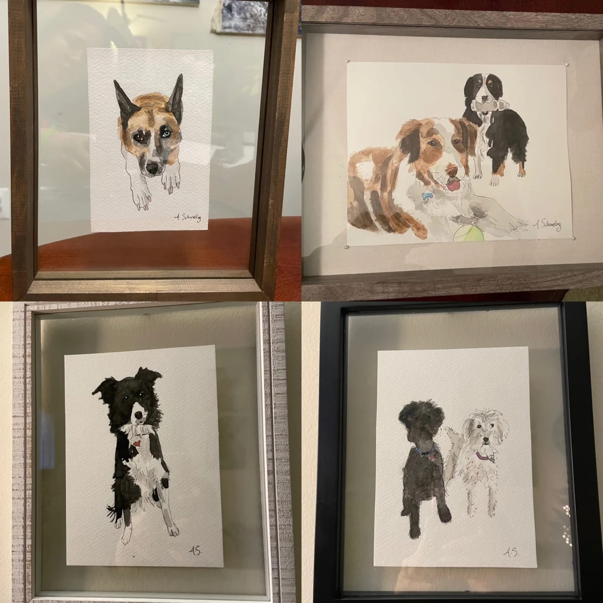 Illustrated Pet Gift Kit