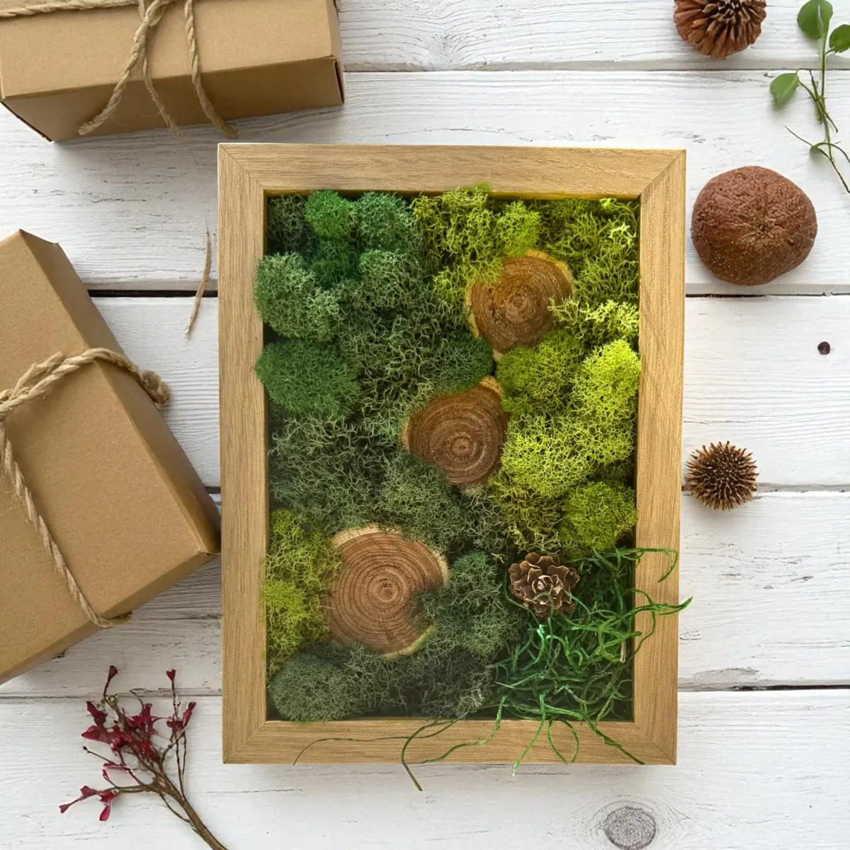 Mini Forest DIY Moss Kit
