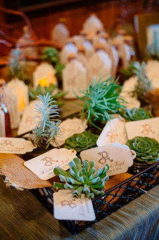 A wire tray holds name cards and decorative succulents—perfect as creative wedding favors—arranged neatly on a table with a piece of burlap underneath.
