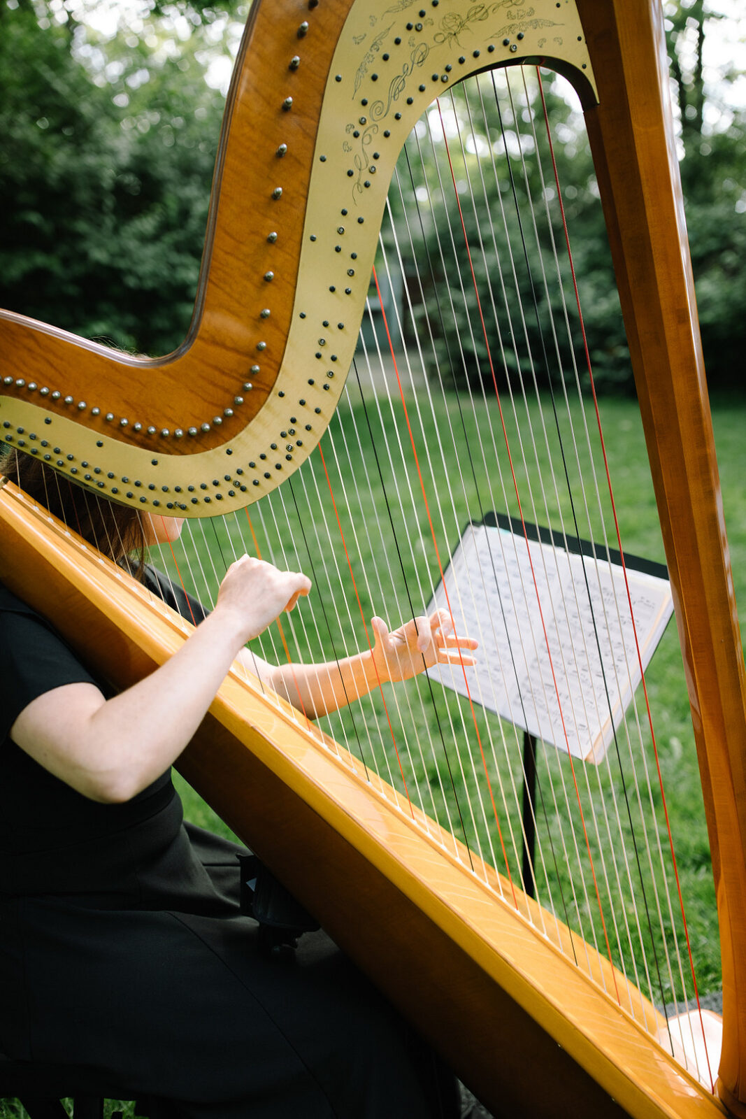 A person in black plays a wooden harp outdoors at Stone Valley Meadows, reading sheet music on a stand amid the grassy, green setting—perfect for a Spring Woodland Wedding.