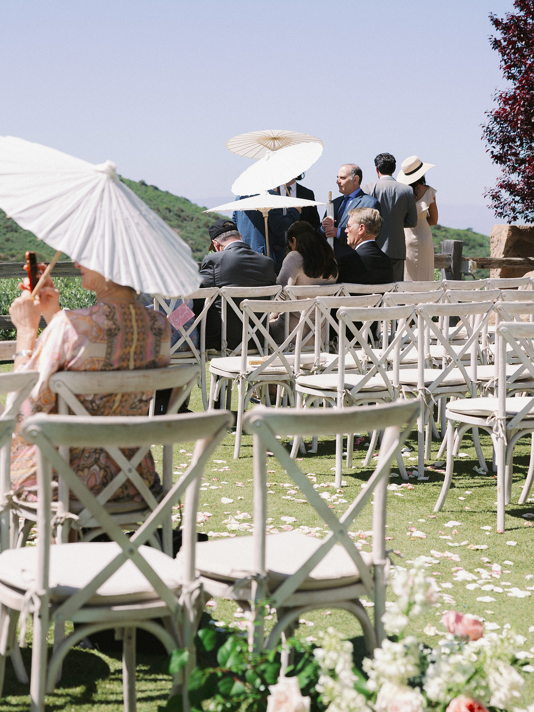 Guests sit on white chairs at a Cielo Farms spring wedding, some holding white parasols for shade; flower petals are scattered on the grass, with hills visible in the background.