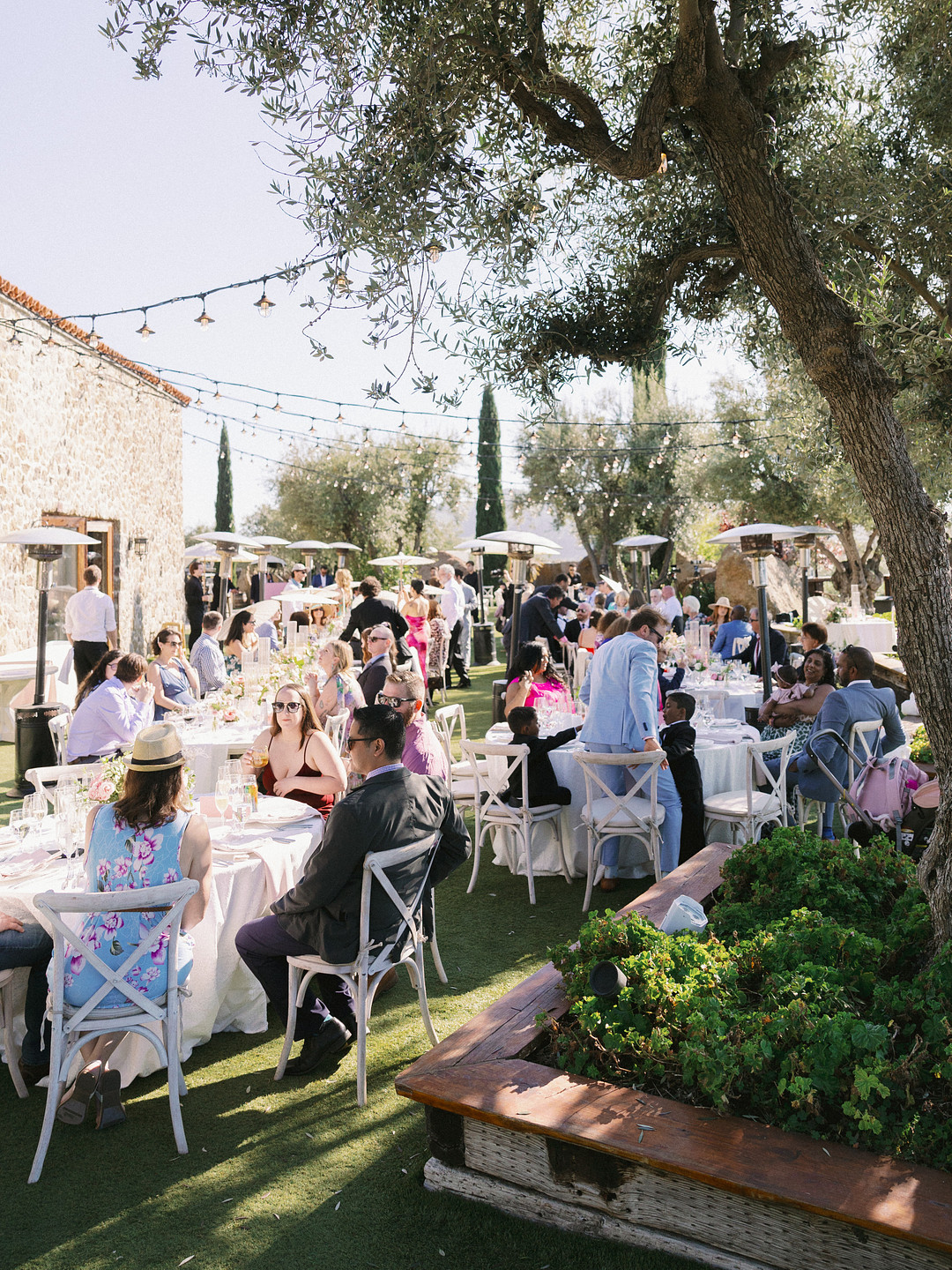 Guests gather for an elegant wedding at Cielo Farms, seated at tables under string lights amidst trees and stone buildings, enjoying delicious food and lively conversation on a beautiful spring day.