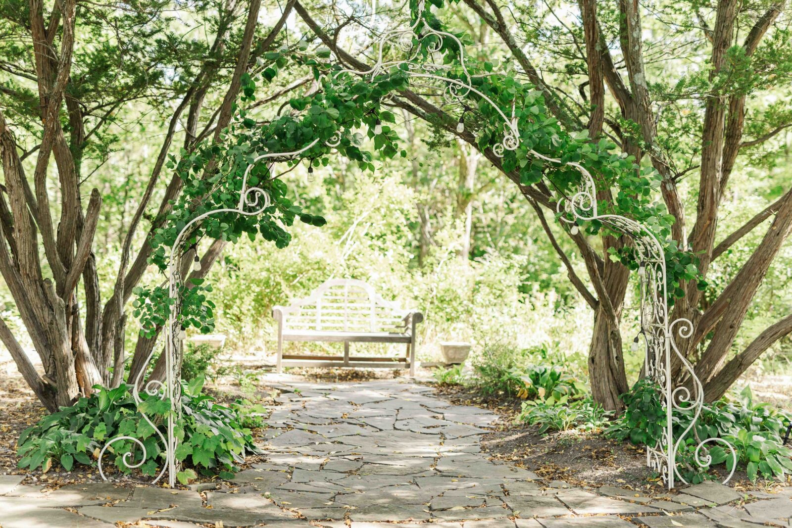 A white metal arch with green vines stands over a stone path, leading to a wooden bench surrounded by trees and greenery in a garden.