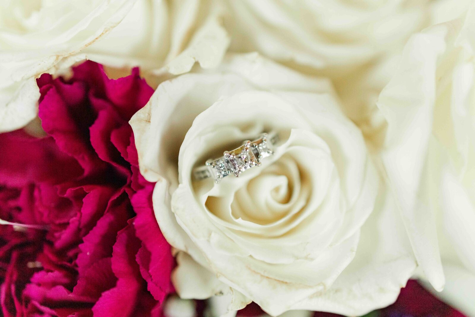 A silver diamond ring rests on a white rose, surrounded by white and deep pink flowers.