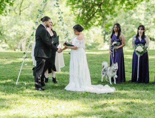 A couple stands facing each other during an outdoor wedding ceremony, accompanied by bridesmaids in purple dresses and a dog on a leash.